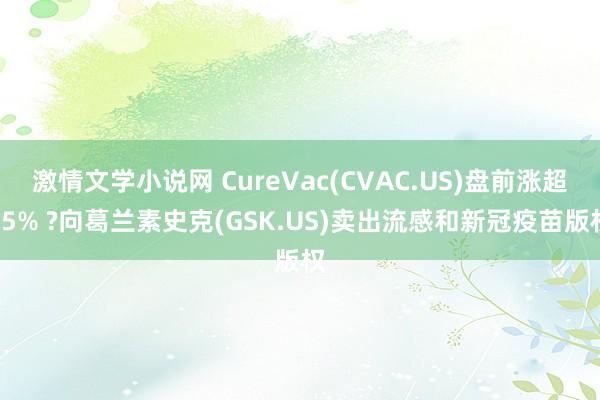 激情文学小说网 CureVac(CVAC.US)盘前涨超15% ?向葛兰素史克(GSK.US)卖出流感和新冠疫苗版权