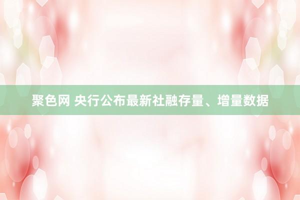 聚色网 央行公布最新社融存量、增量数据