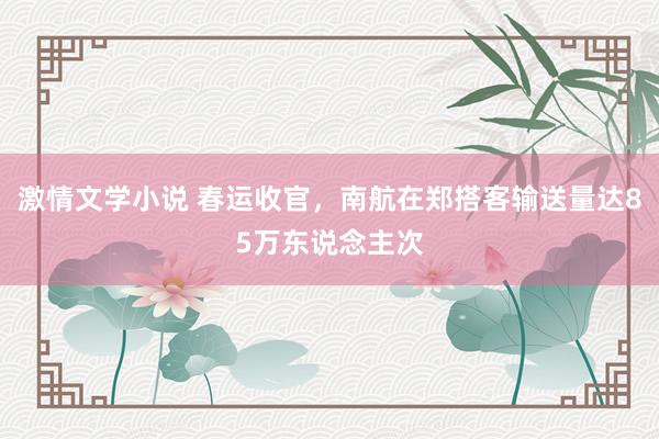 激情文学小说 春运收官，南航在郑搭客输送量达85万东说念主次